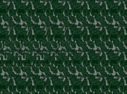 стерео картинки sird