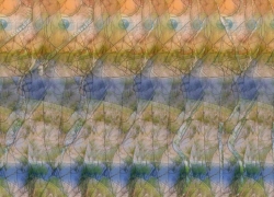 стерео картинки sird