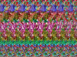 стерео картинки sird