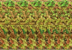 стерео картинки sird