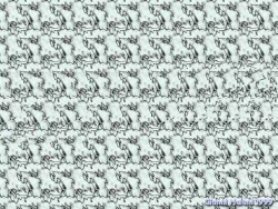 стерео картинки sird