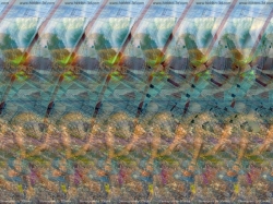 стерео картинки sird