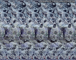 стерео картинки sird