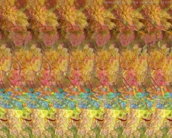 стерео картинки sird