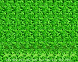 стерео картинки sird