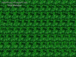 стерео картинки sird