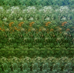 стерео картинки sird