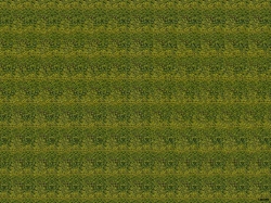 стерео картинки sird