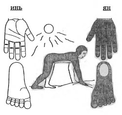 Су Джок, инь и ян