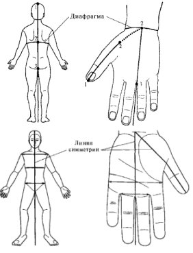 Су Джок, системы соответствия