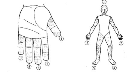 Су Джок, системы соответствия