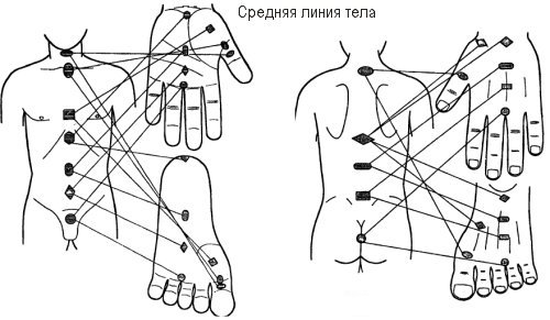 Су Джок,точки соответствия