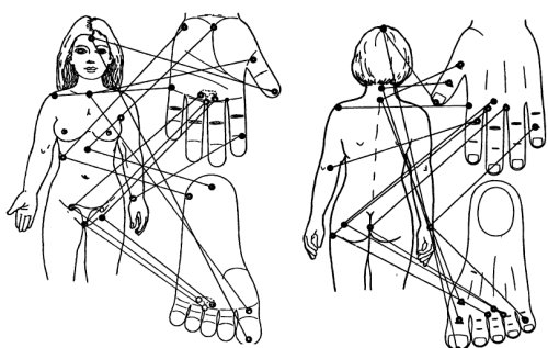 Су Джок,точки соответствия