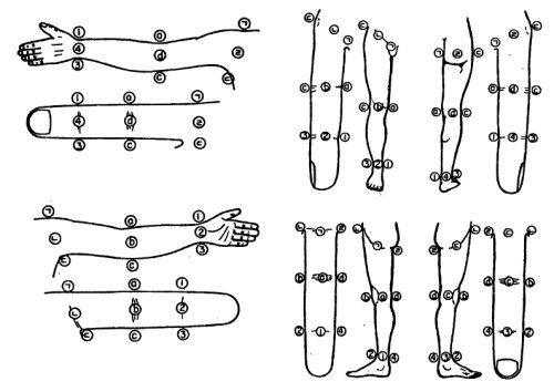 Су Джок,точки соответствия
