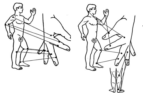 Су Джок,точки соответствия