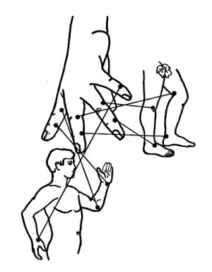 Су Джок,точки соответствия