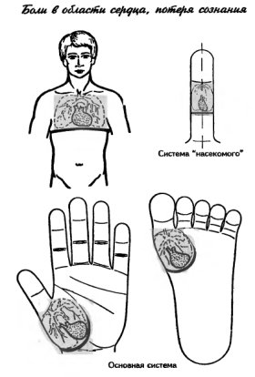 су-джок боль в области сердца