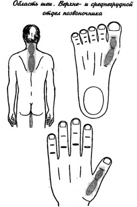 су-джок боль в шее