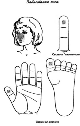 су-джок заболевания носа